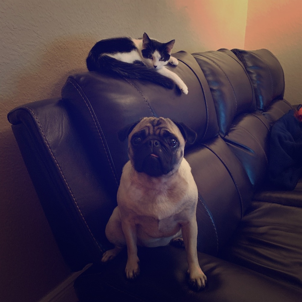 Meet your Posher, Liza Enjoy